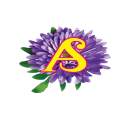 Aster Silk Logo